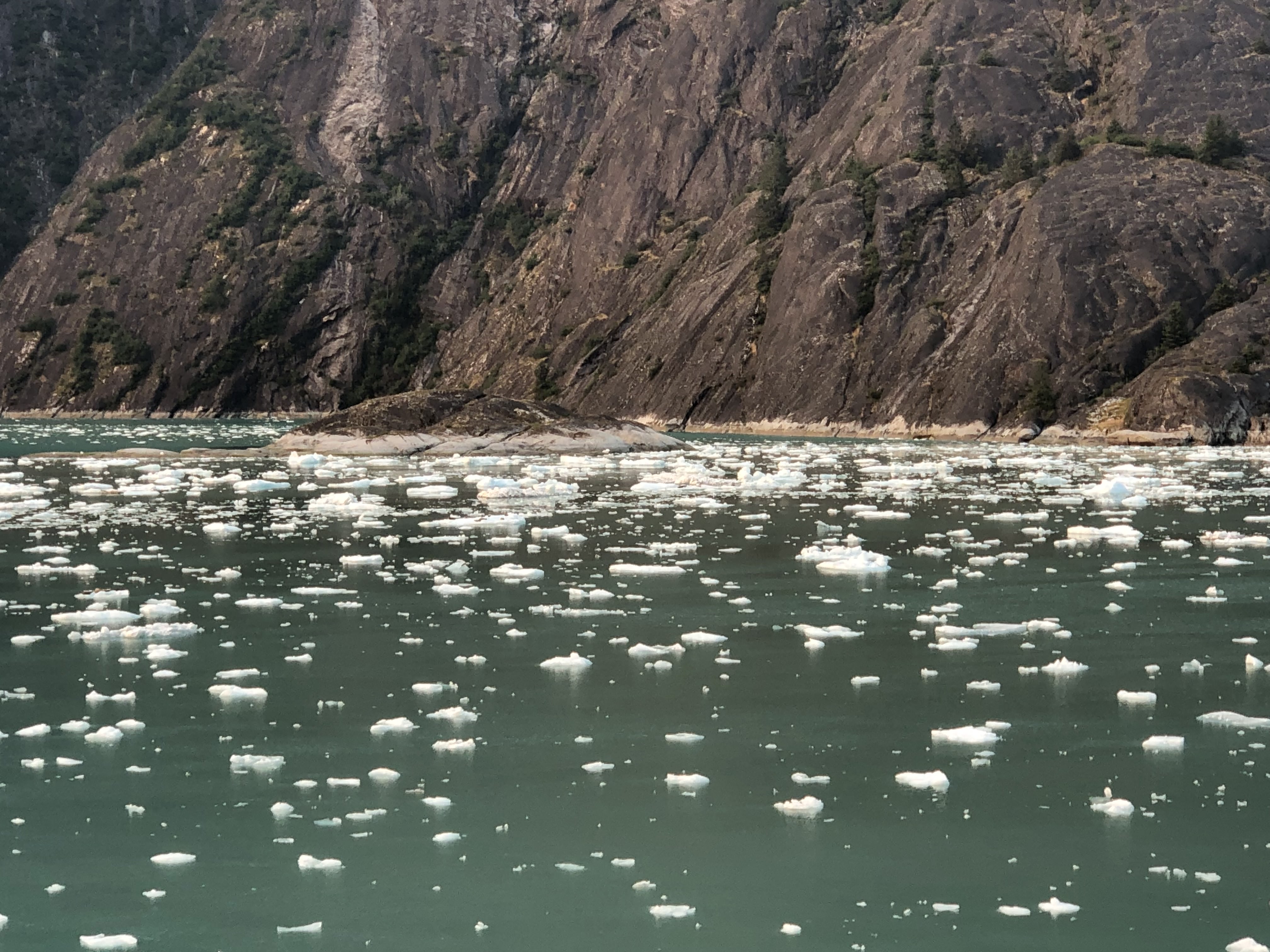 white iceberg chunks in a bright green inlet